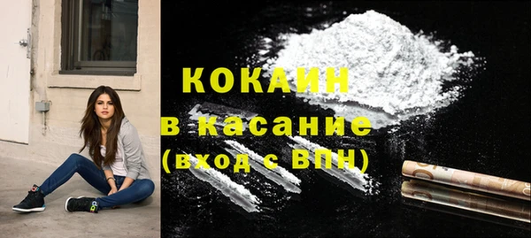 индика Белоозёрский